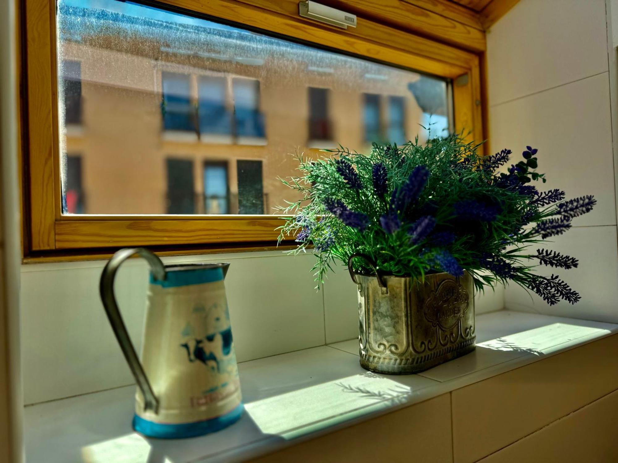 Atico Guara&Pirineos Apartment Huesca Ngoại thất bức ảnh